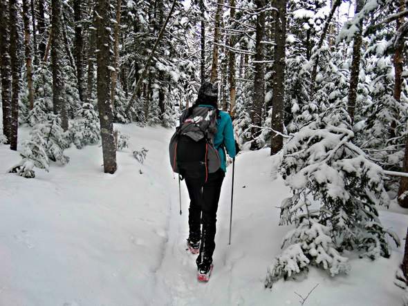 Winter Hiking