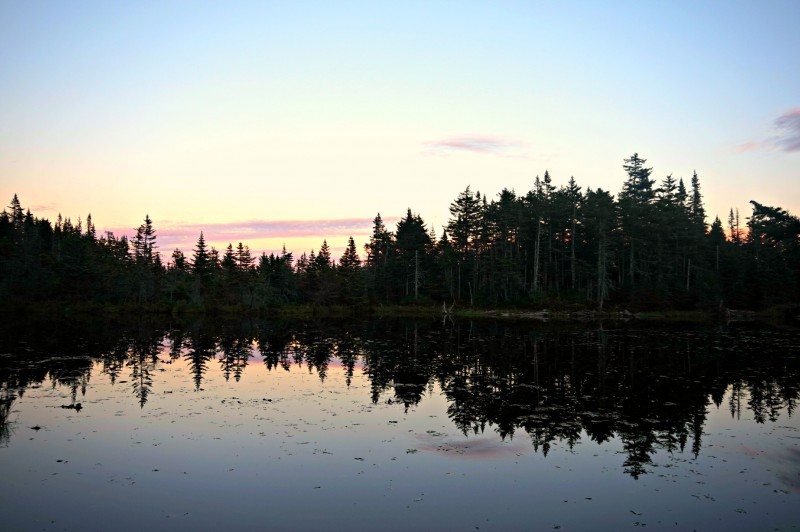 19-reflection