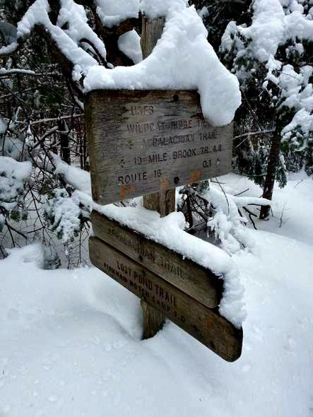 wildcat ridge trail