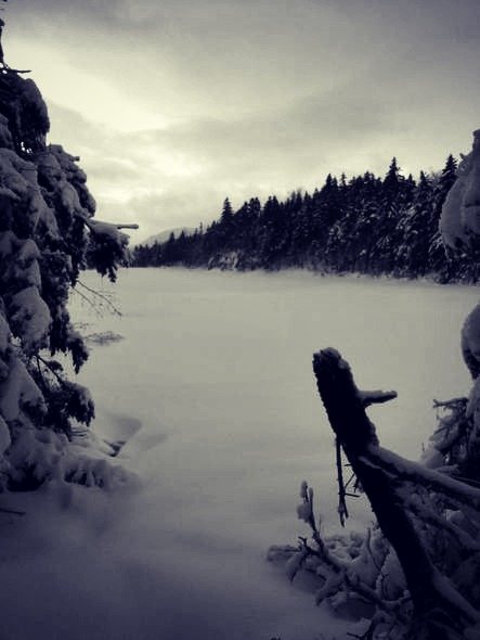 lost pond trail