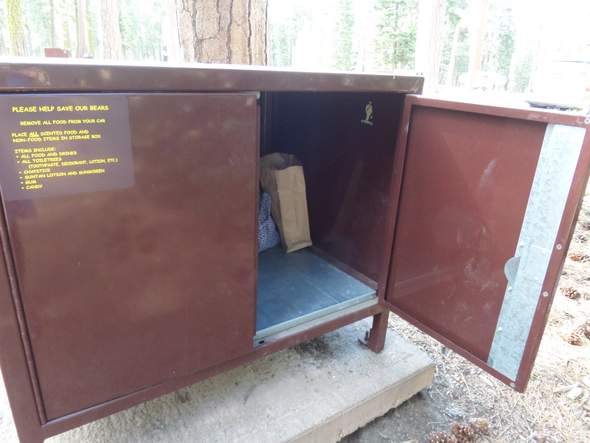 bear box