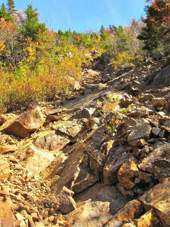 lower section of Owl's Head Path