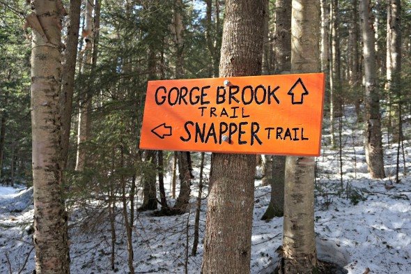 gorge brook trail