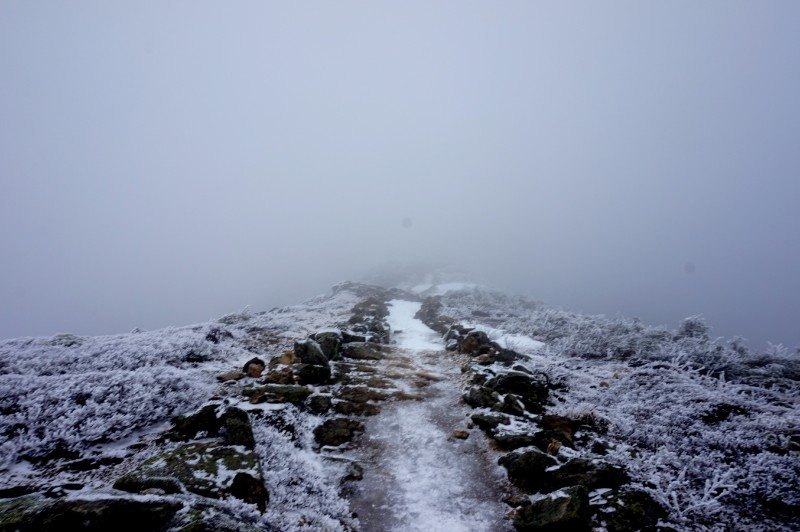 24- franconia ridge trail