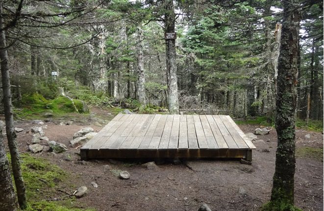Tent platform at Avery Memorial Campsite: low impact camping in Maine.