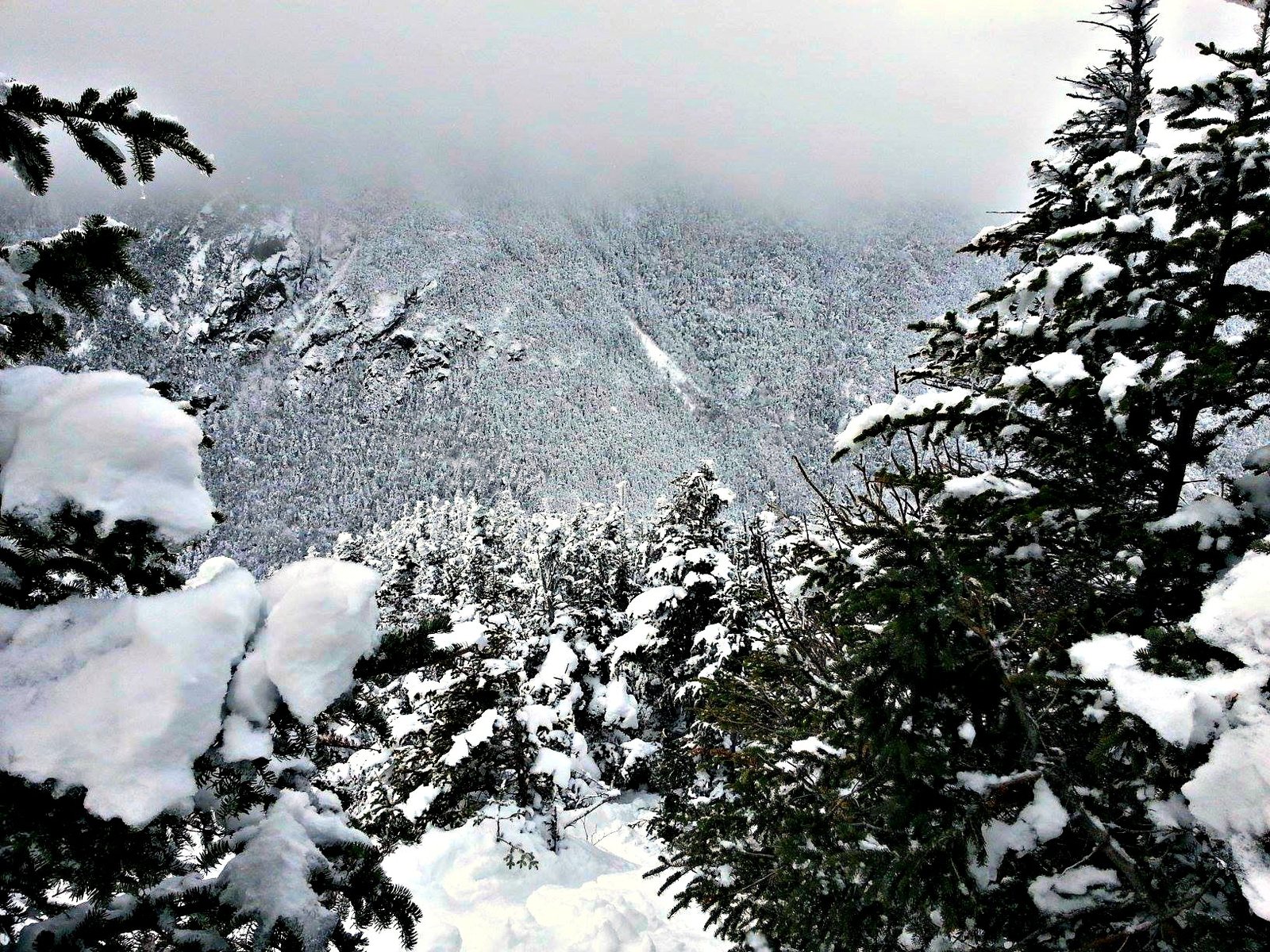 nineteen-mile brook trail