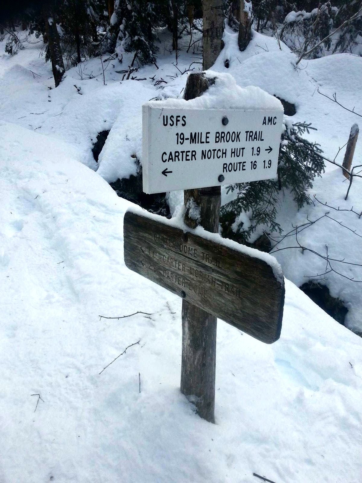 nineteen-mile brook trail