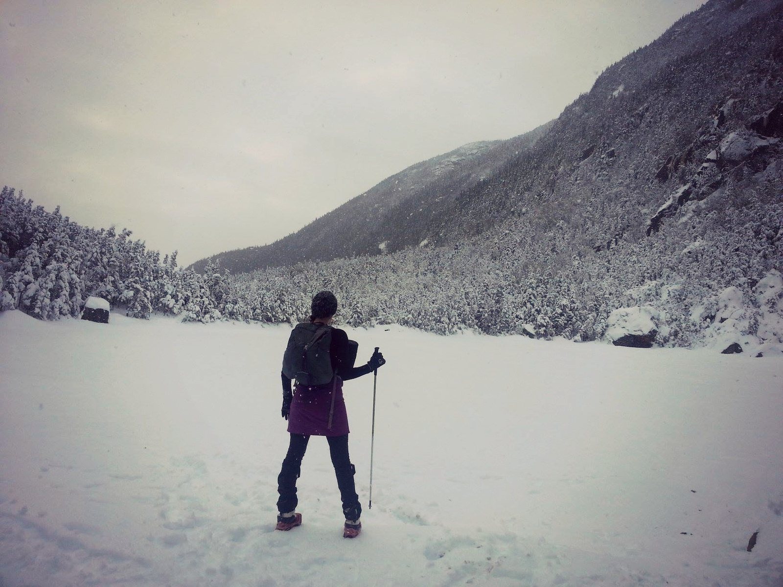 Carter Lakes