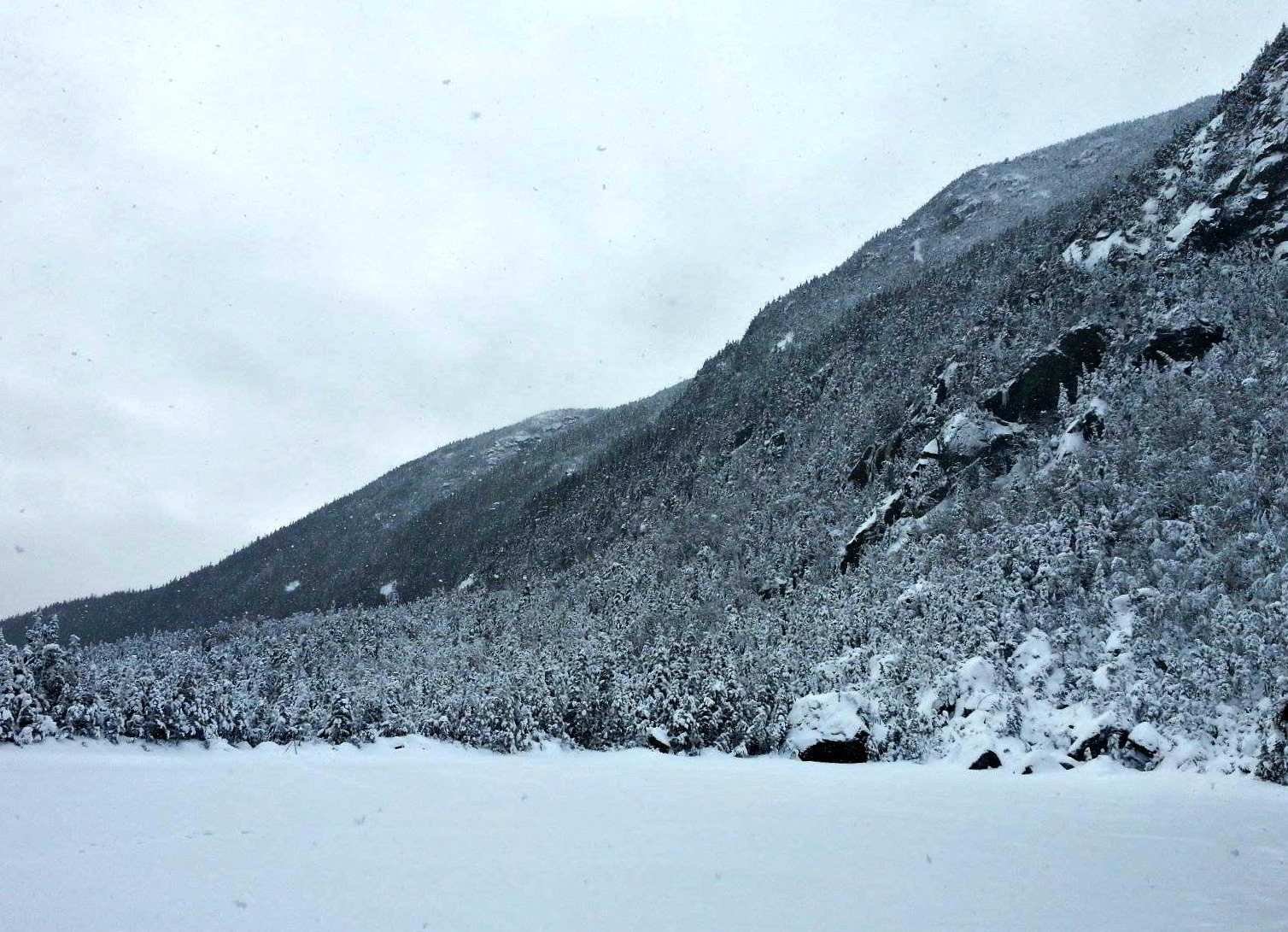 carter lakes