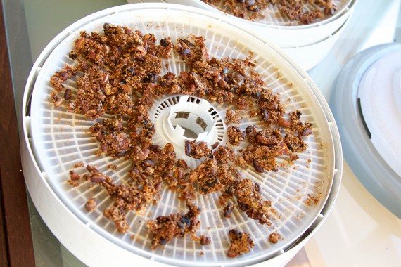 dehydrated chili recipe