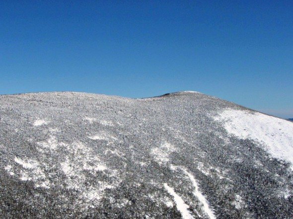 view of mt bond