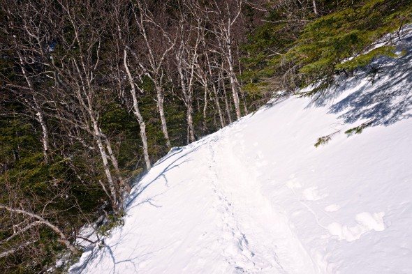 bondcliff trail